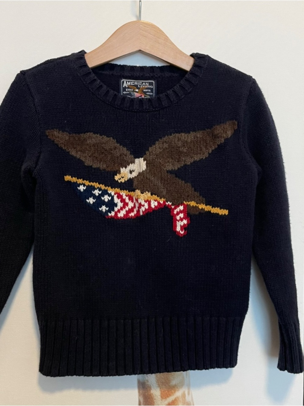 American Eagle Navy Sweater with Eagle & Flag Motif